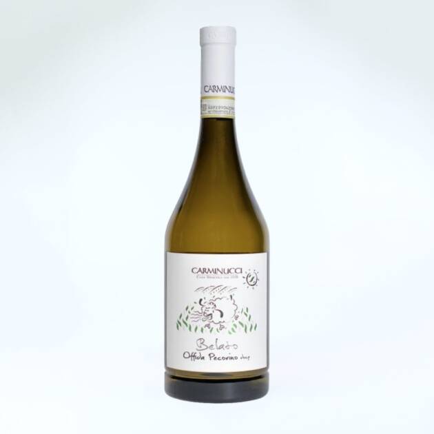 Carminucci Belato Offida Pecorino 2025