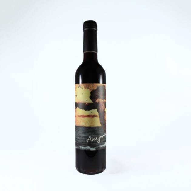 Bodega Pablo Fallabrino Alcyone NV