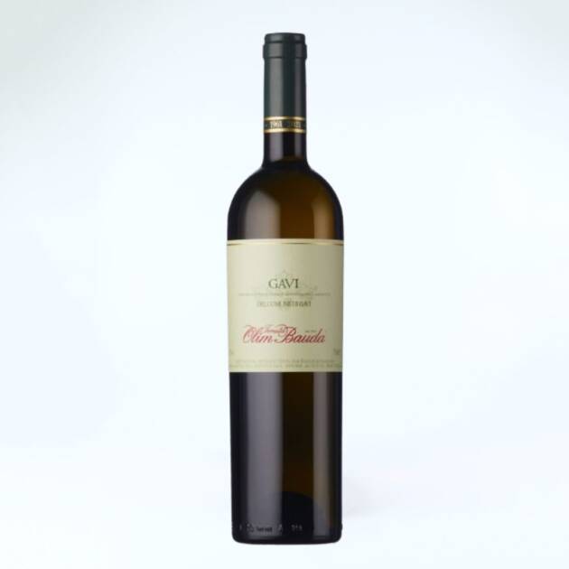 Olim Bauda Gavi del Comune di Gavi 2024