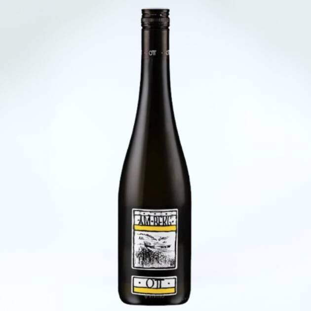 Bernhard Ott Am Berg 2024 Gruner Veltliner